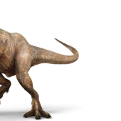 trex-info-graphic.png