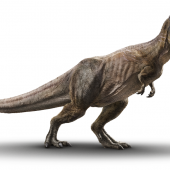 trex1440x651_0001.png