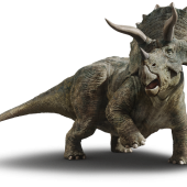 triceratops1440x651_0000_.png