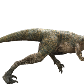 velociraptor-detail-header.png