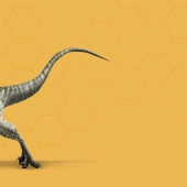 velociraptor_header.jpg