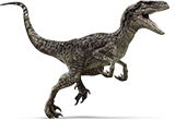 velociraptor-_on.png